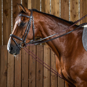 Dy'on Leather Draw Reins + rope 'Working'