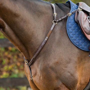 Dy'on Breastplate Bridge