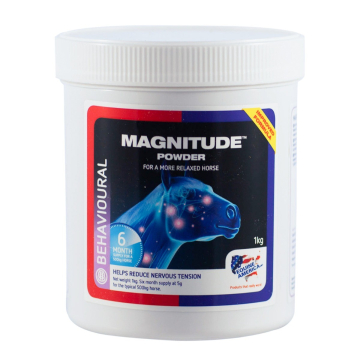 Equine America Magnitude