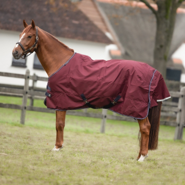 Equithème Turnout Rug 1200D Tyrex 450 G