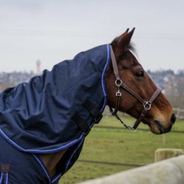 Equithème Neck Cover 1200D Classic 