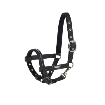 Eskadron Foal Headcollar