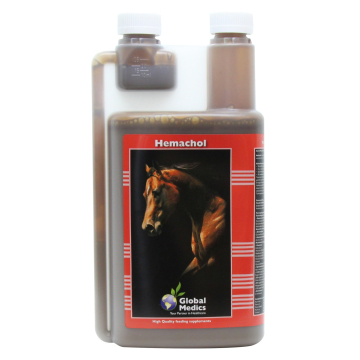 Global medics hemachol