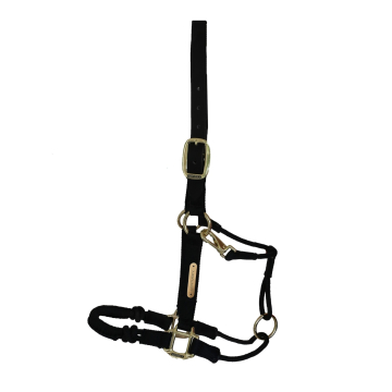 Kentucky control halter