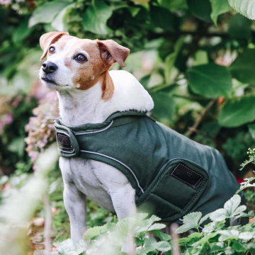 Kentucky dog coat waterproof 