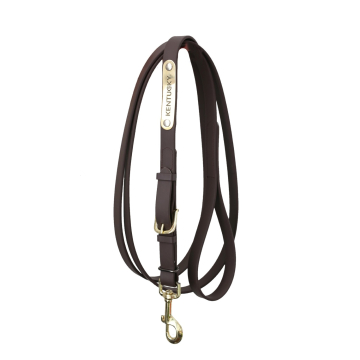 Kentucky Presentation Lead