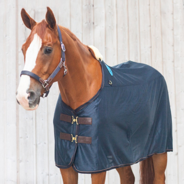 Kentucky magnetic recuptex rug