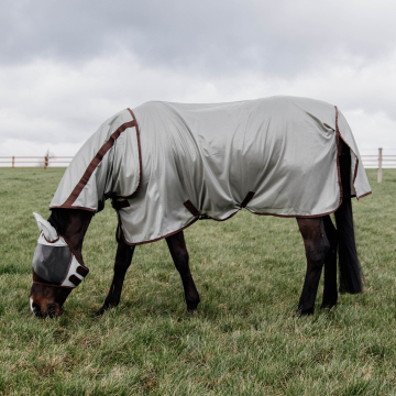 Kentucky Mesh Fly Rug Classic