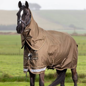 Lemieux Arika 600D Winter Rug Alpine 200G