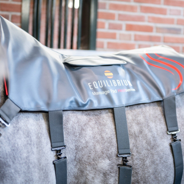 Equilibrium Heatsense Massage Pad