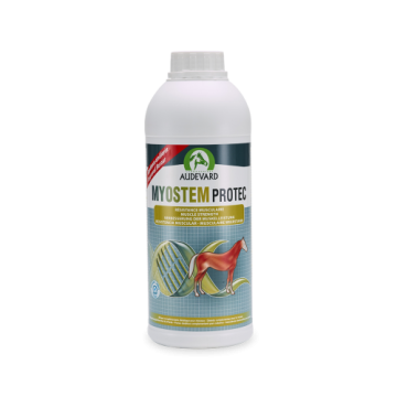 Audevard Myostem Protec