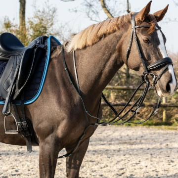 QHP Thiedeman Rein Set Horse