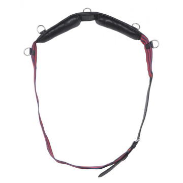 Norton Lunging roller 