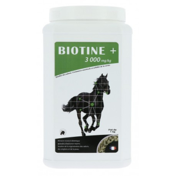 ODM Biotin+ 1000GR