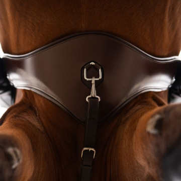 PresTeq Girth PerformFree All Purpose Brown 