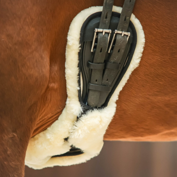 Passier Singelbontje PassierBlue wave