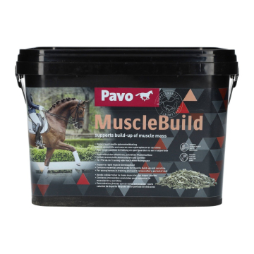 Pavo MuscleBuild