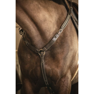 Penelope Martin Collar