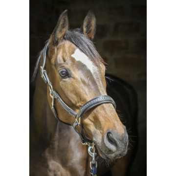 Penelope Point Sellier Leather Halter