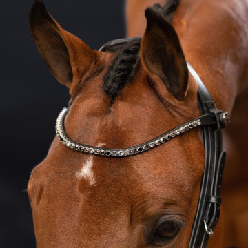 Presteq Browband ShineBright 
