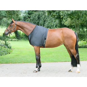 Back on track protector de hombro