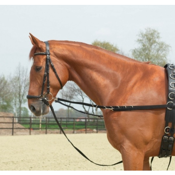 Busse side-reins rings-fixed