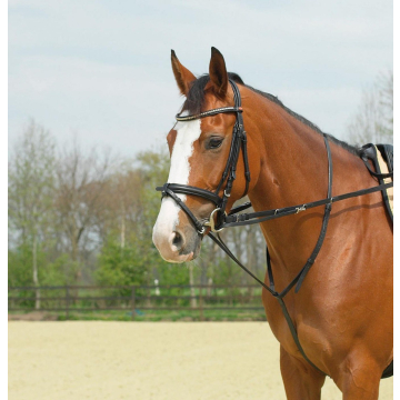 Busse Market-Harborough 