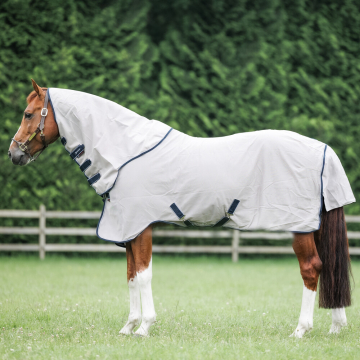 Dominick Fly Rug + Hood 