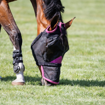 Weatherbeeta Flymask Comfitec Deluxe Nose Weatherbeeta Flymask Comfitec Deluxe Nose