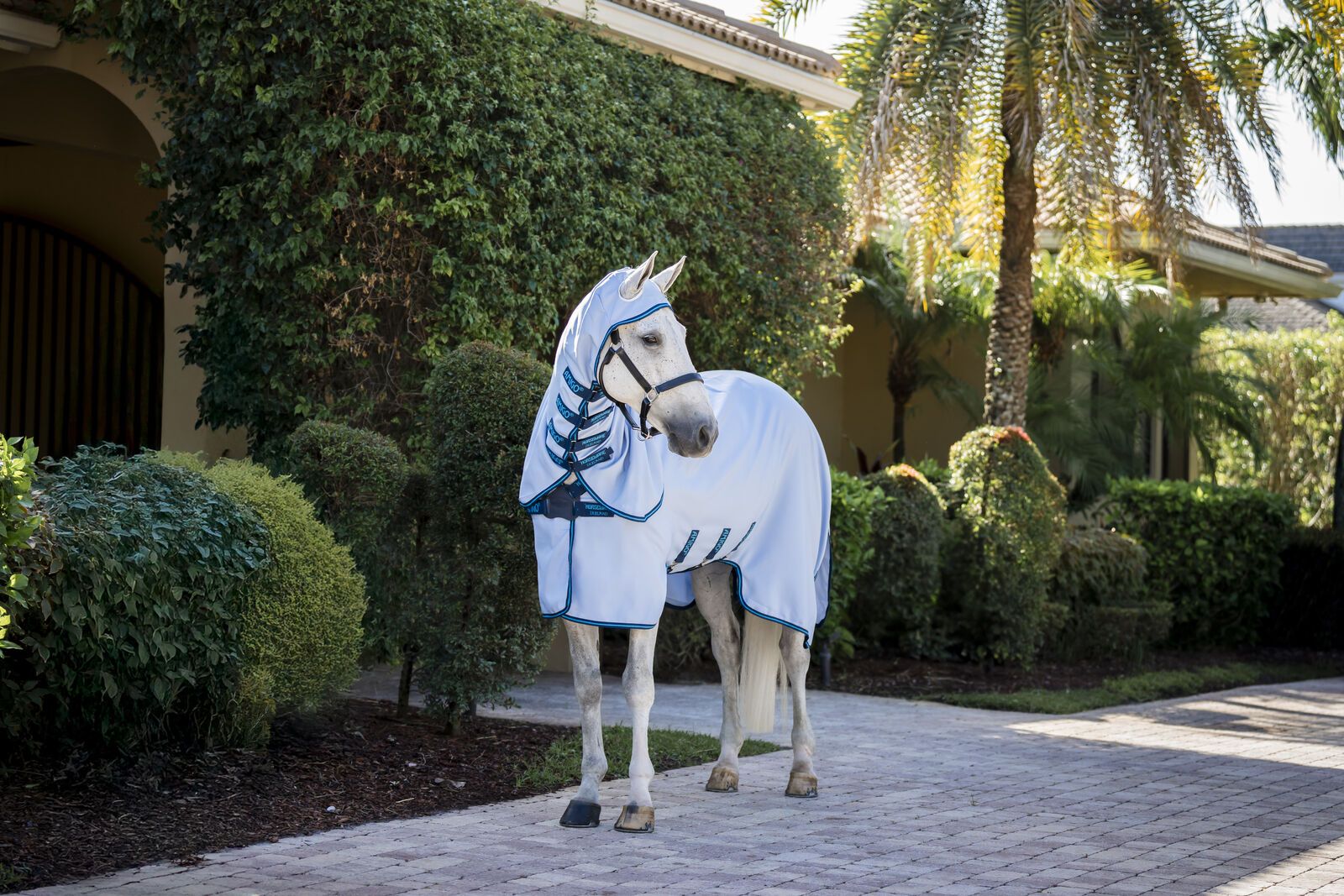 Todo para tu caballo